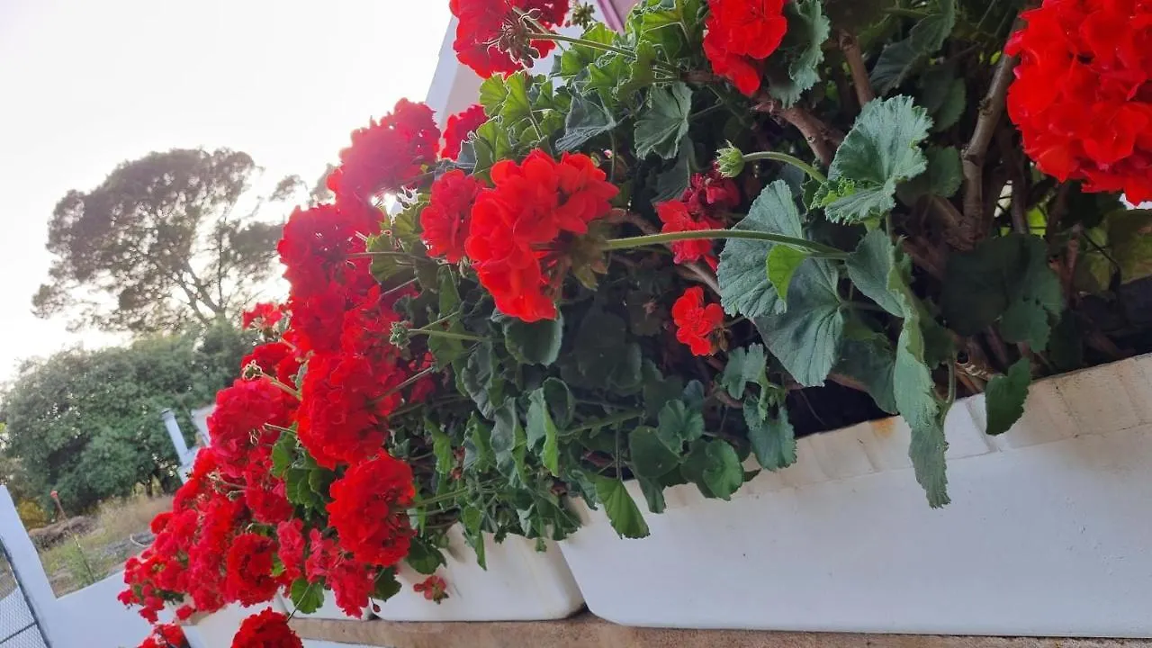 Finca Sa Cova De Mallorca Сенсельес Испания