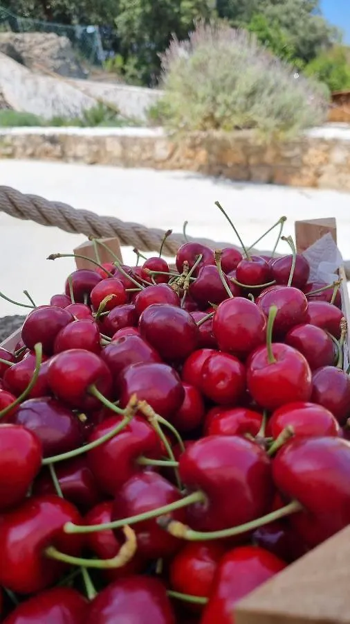 Finca Sa Cova De Mallorca Sencelles 0*,
