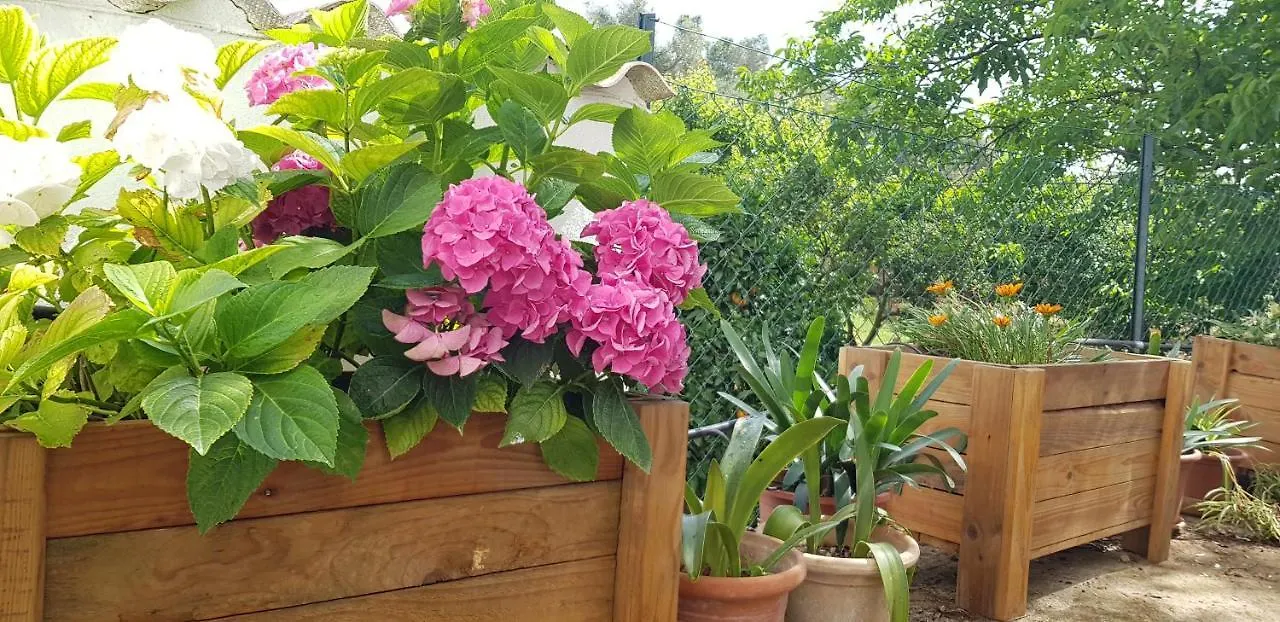 Finca Sa Cova De Mallorca Sencelles Espagne