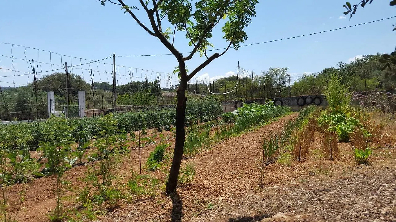 Finca Sa Cova De Mallorca Sencelles 0*,