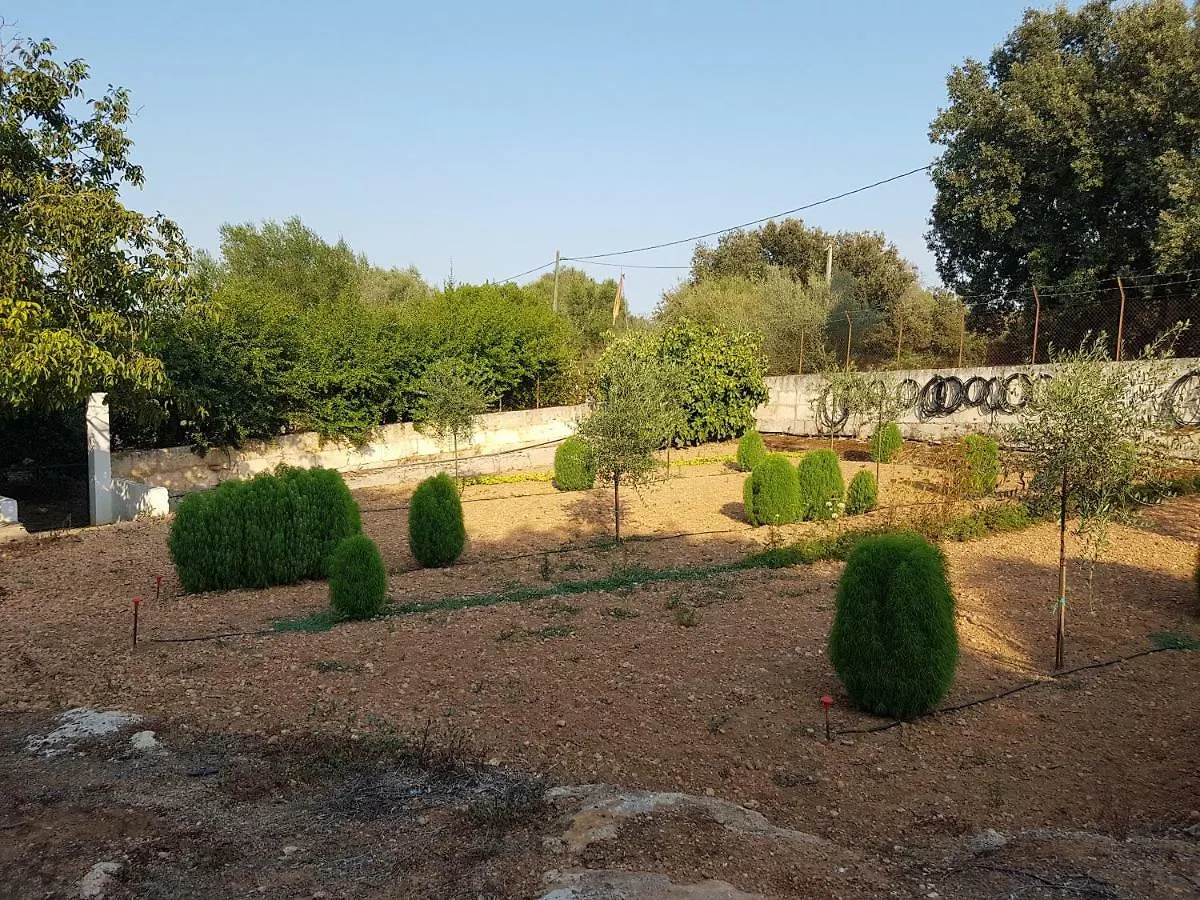Hébergement de vacances Finca Sa Cova De Mallorca Sencelles