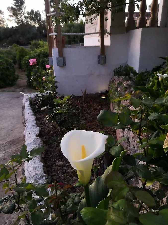 Finca Sa Cova De Mallorca Sencelles Hébergement de vacances