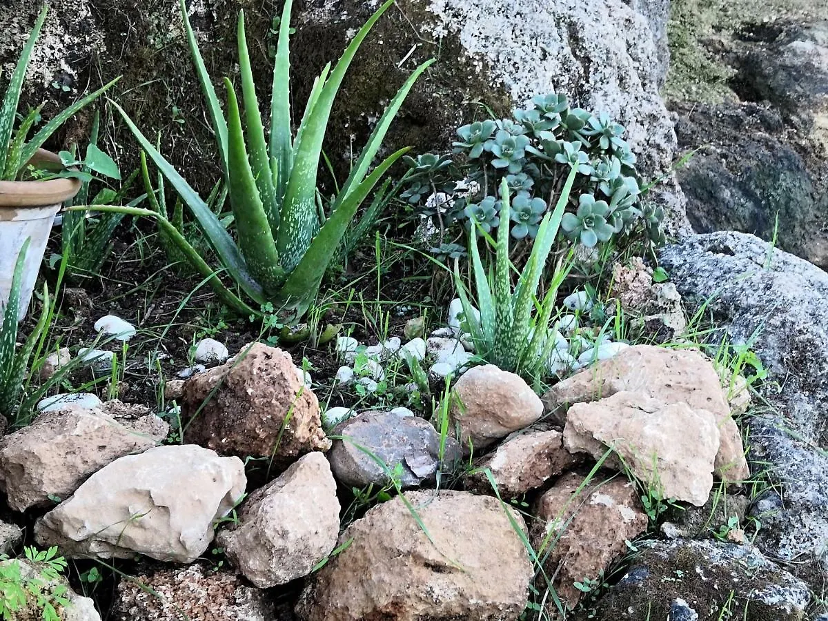 Finca Sa Cova De Mallorca Сенсельес 0*,