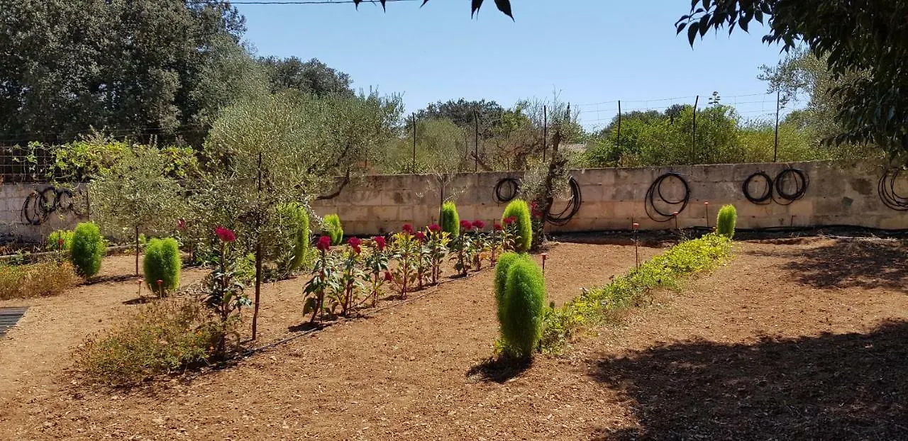 Hébergement de vacances Finca Sa Cova De Mallorca Sencelles Espagne
